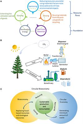 Circular Bioeconomy Concepts—A Perspective